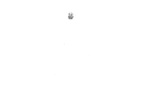 TANTIK - Logo - Ebe group