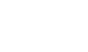 TANTIK - Logo - Fusion
